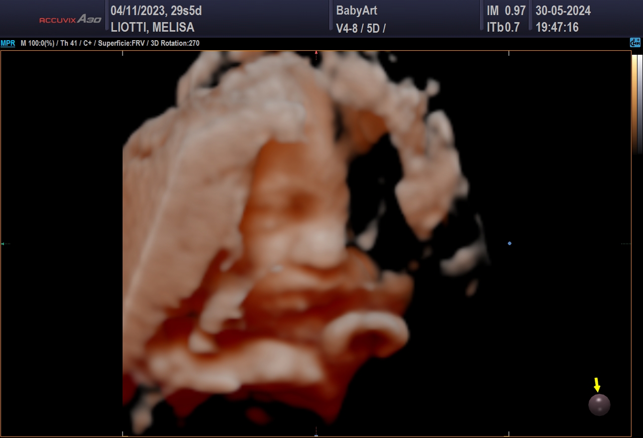 JULIA DE MELISA LIOTTI_0025.JPG